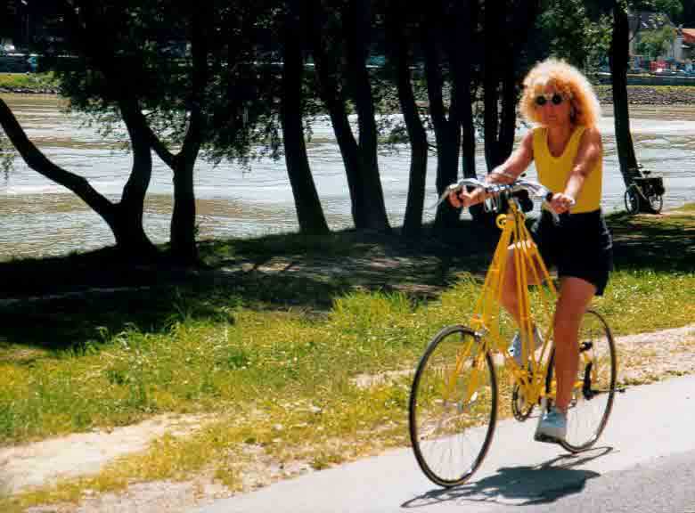 fahren mit dem pedersen fahrrad bike