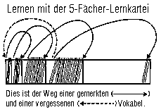 Die 5 Faecher